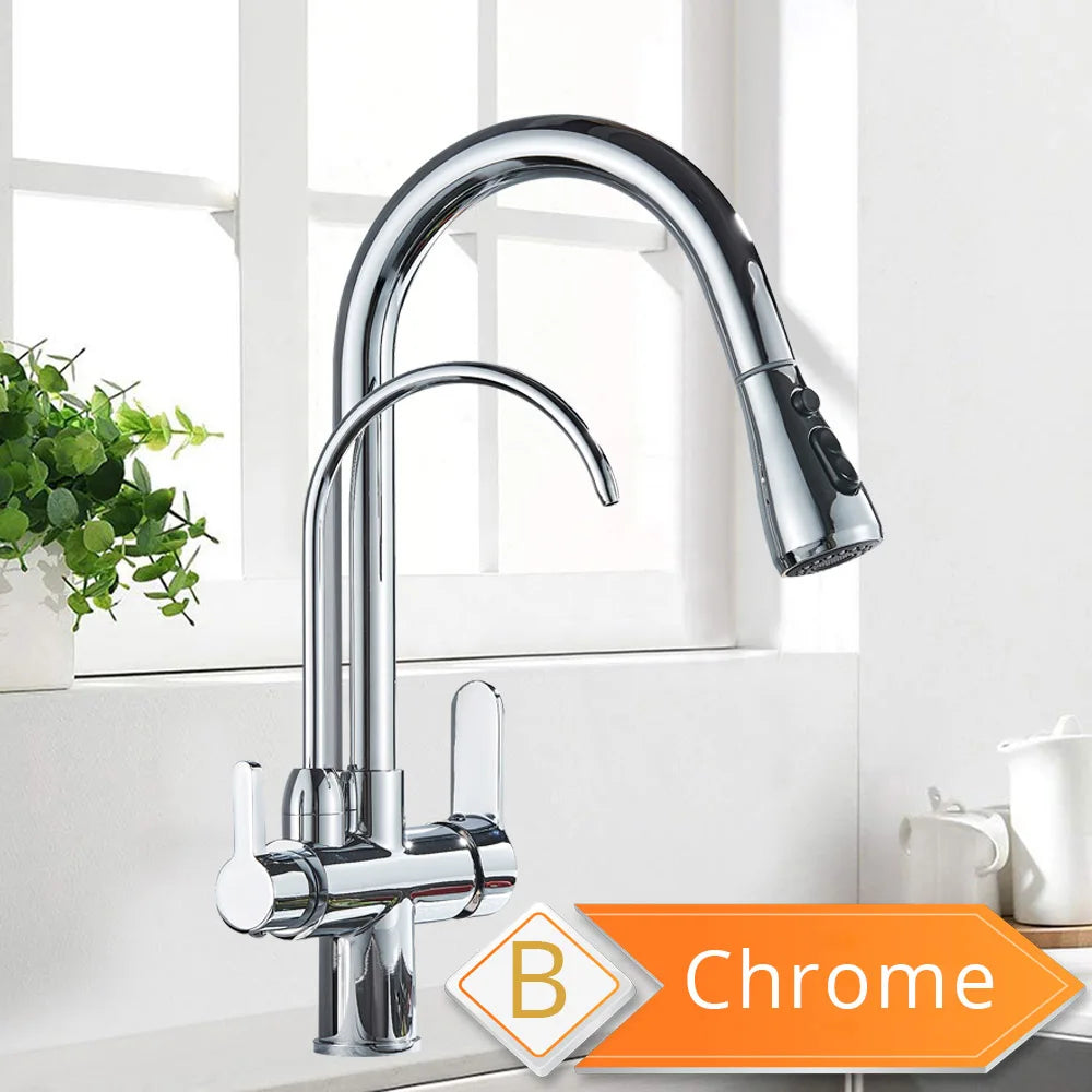 Rozin Three Way Filtered Kitchen Faucet With Pull Out Sprayer