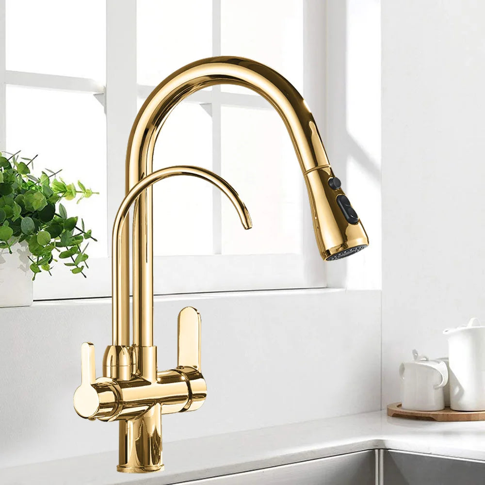 Rozin Three Way Filtered Kitchen Faucet With Pull Out Sprayer