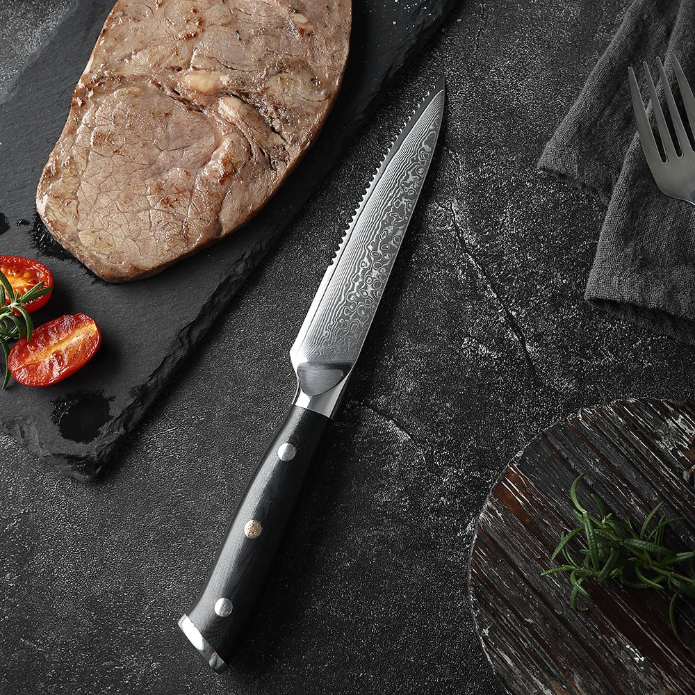 XITUO Damascus Steel Steak Knife Set With G10 Handle