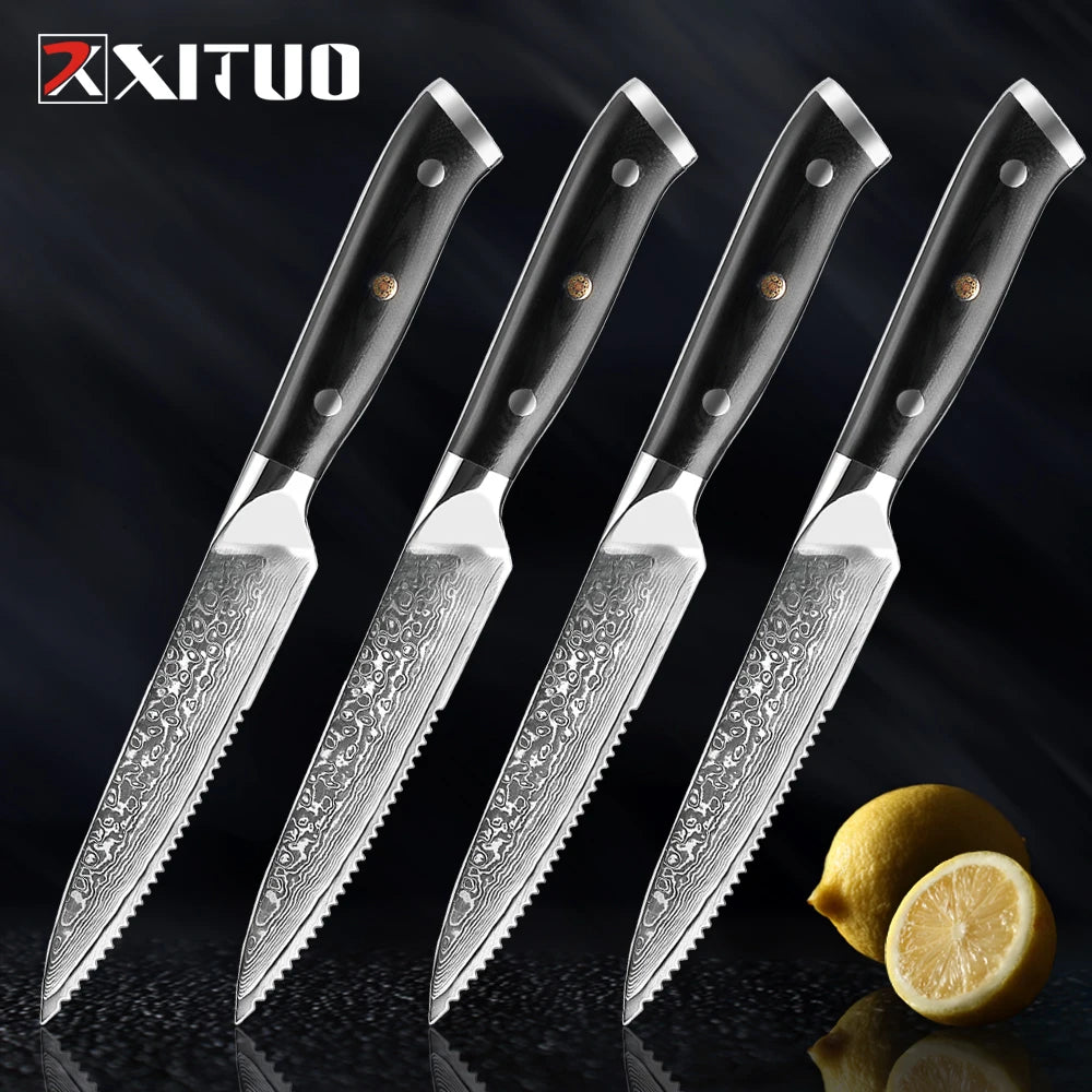 XITUO Damascus Steel Steak Knife Set With G10 Handle