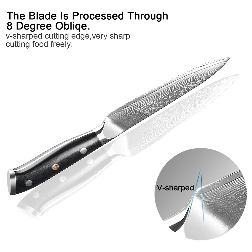 XITUO Damascus Steel Steak Knife Set With G10 Handle