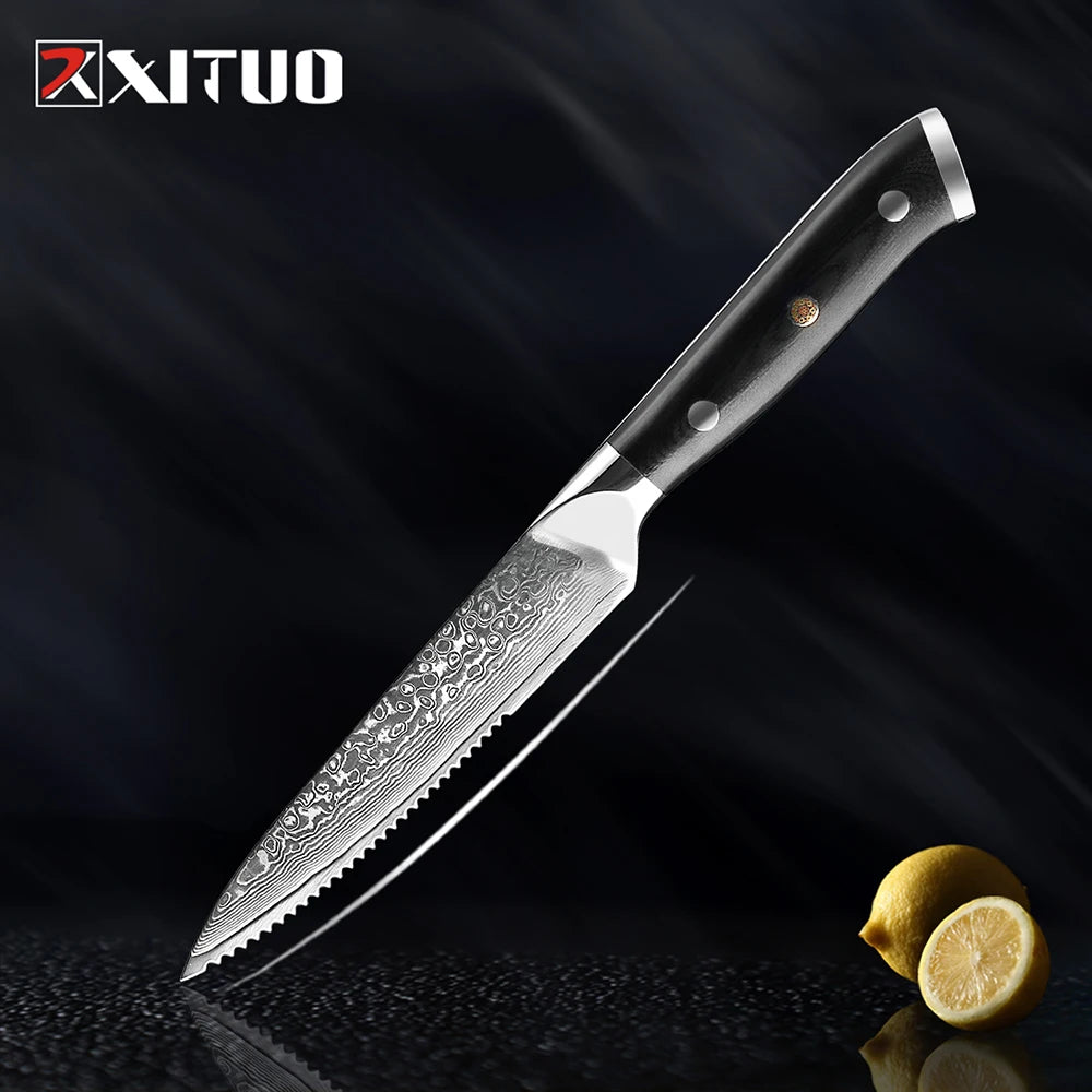 XITUO Damascus Steel Steak Knife Set With G10 Handle
