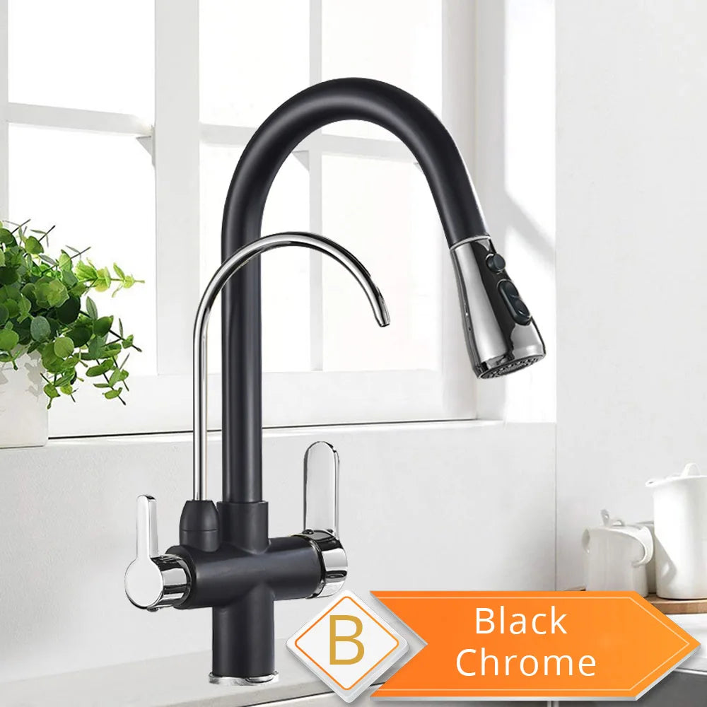 Rozin Three Way Filtered Kitchen Faucet With Pull Out Sprayer