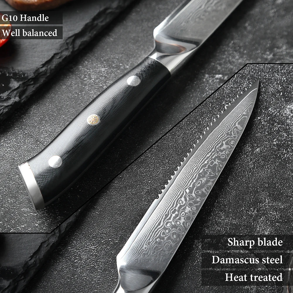 XITUO Damascus Steel Steak Knife Set With G10 Handle