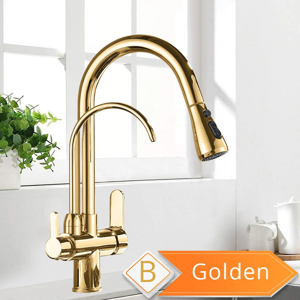 Rozin Three Way Filtered Kitchen Faucet With Pull Out Sprayer