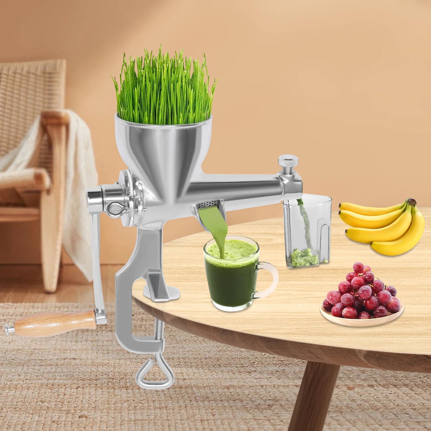 Bymaocar Manual Stainless Steel Fruit Vegetable Juicer