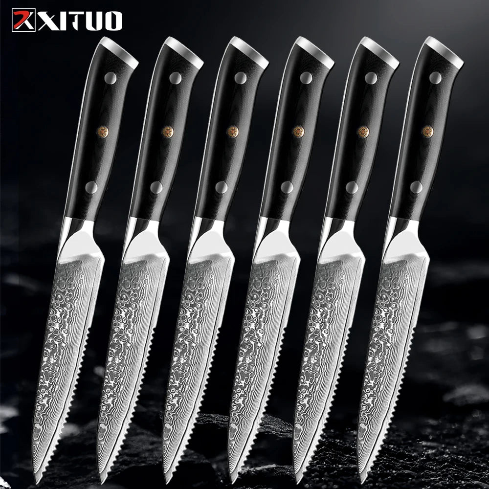 XITUO Damascus Steel Steak Knife Set With G10 Handle