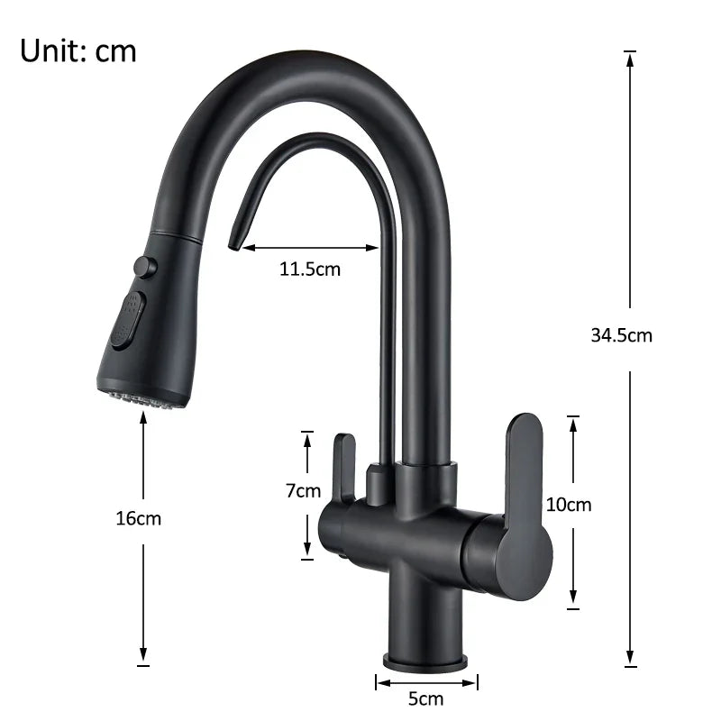 Rozin Three Way Filtered Kitchen Faucet With Pull Out Sprayer
