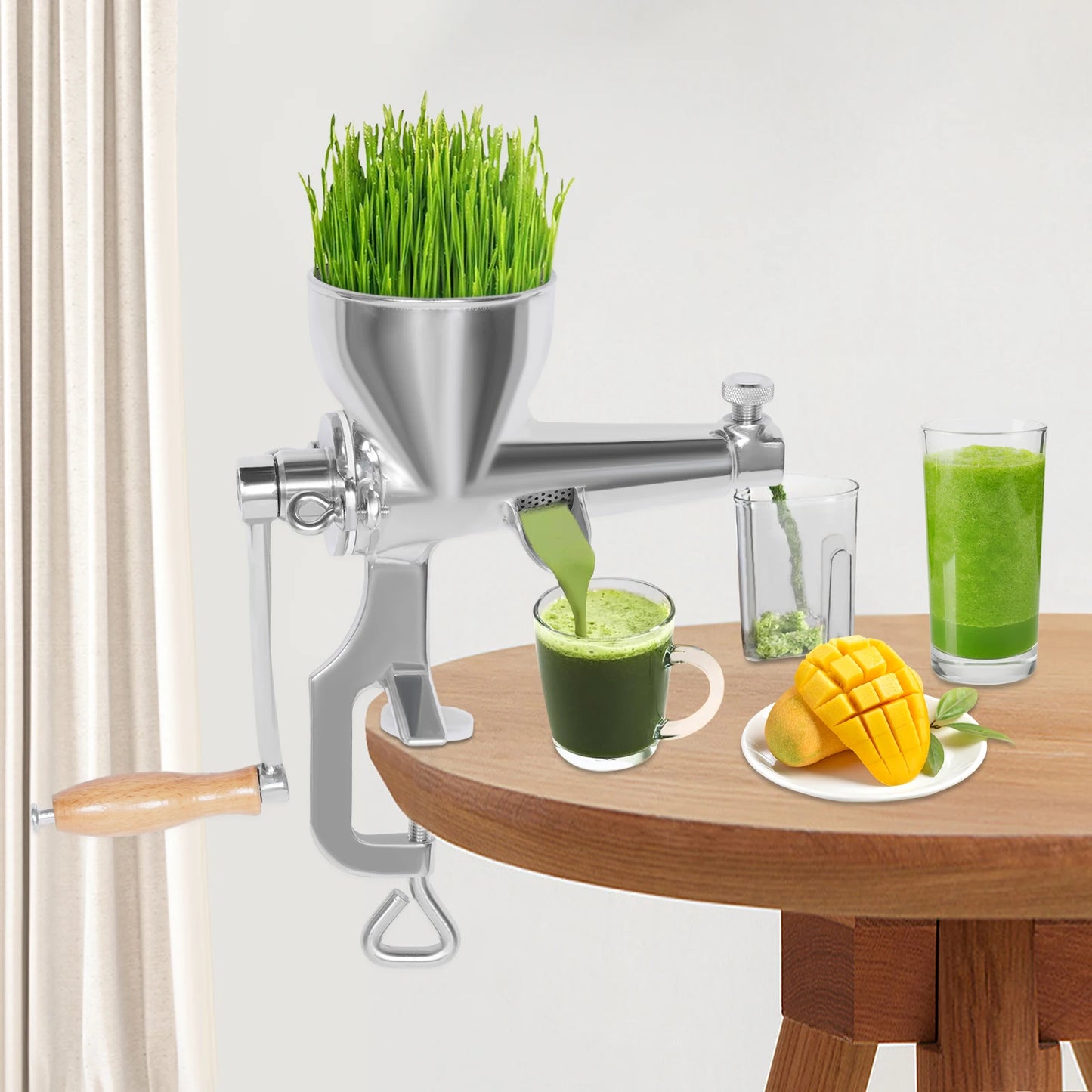Bymaocar Manual Stainless Steel Fruit Vegetable Juicer