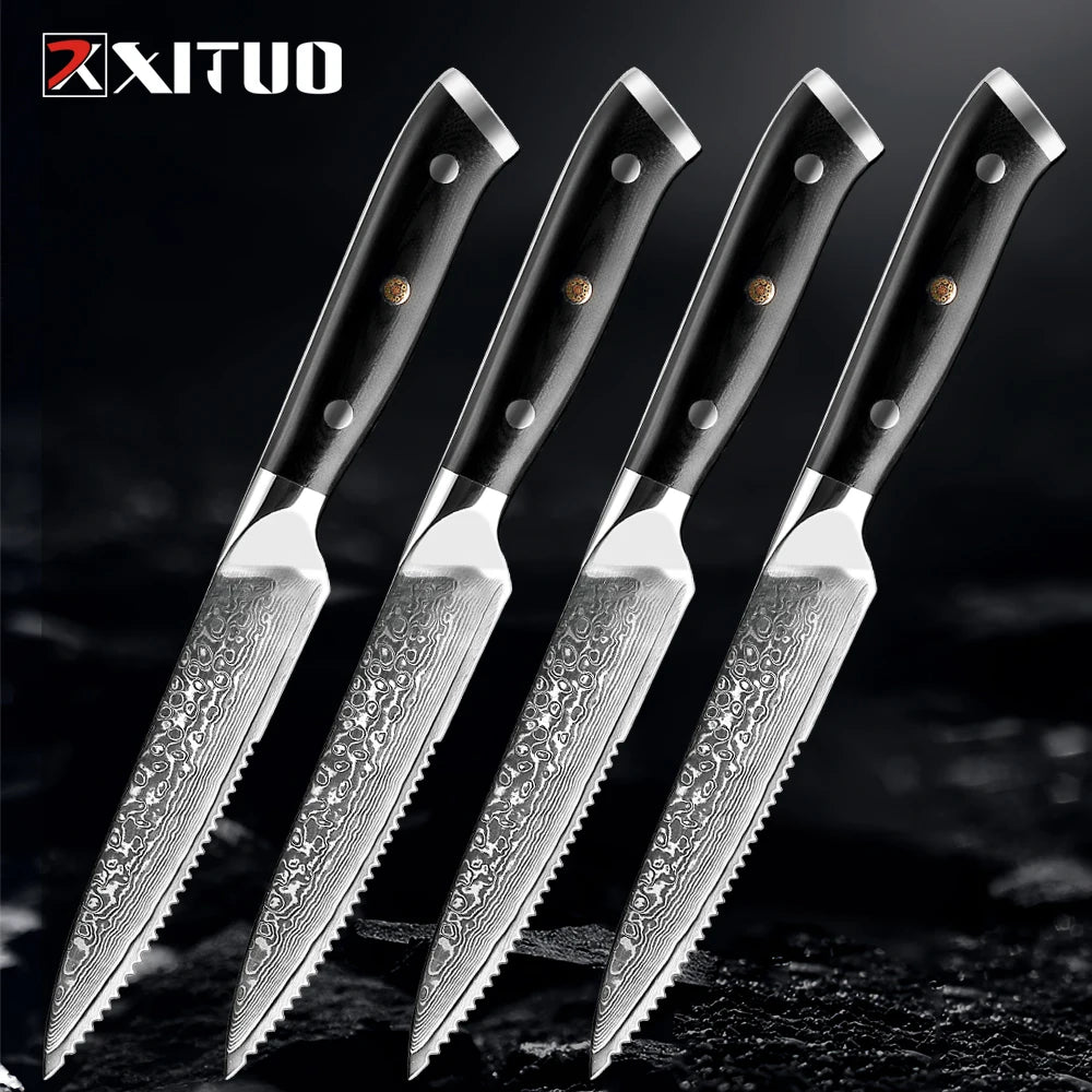 XITUO Damascus Steel Steak Knife Set With G10 Handle