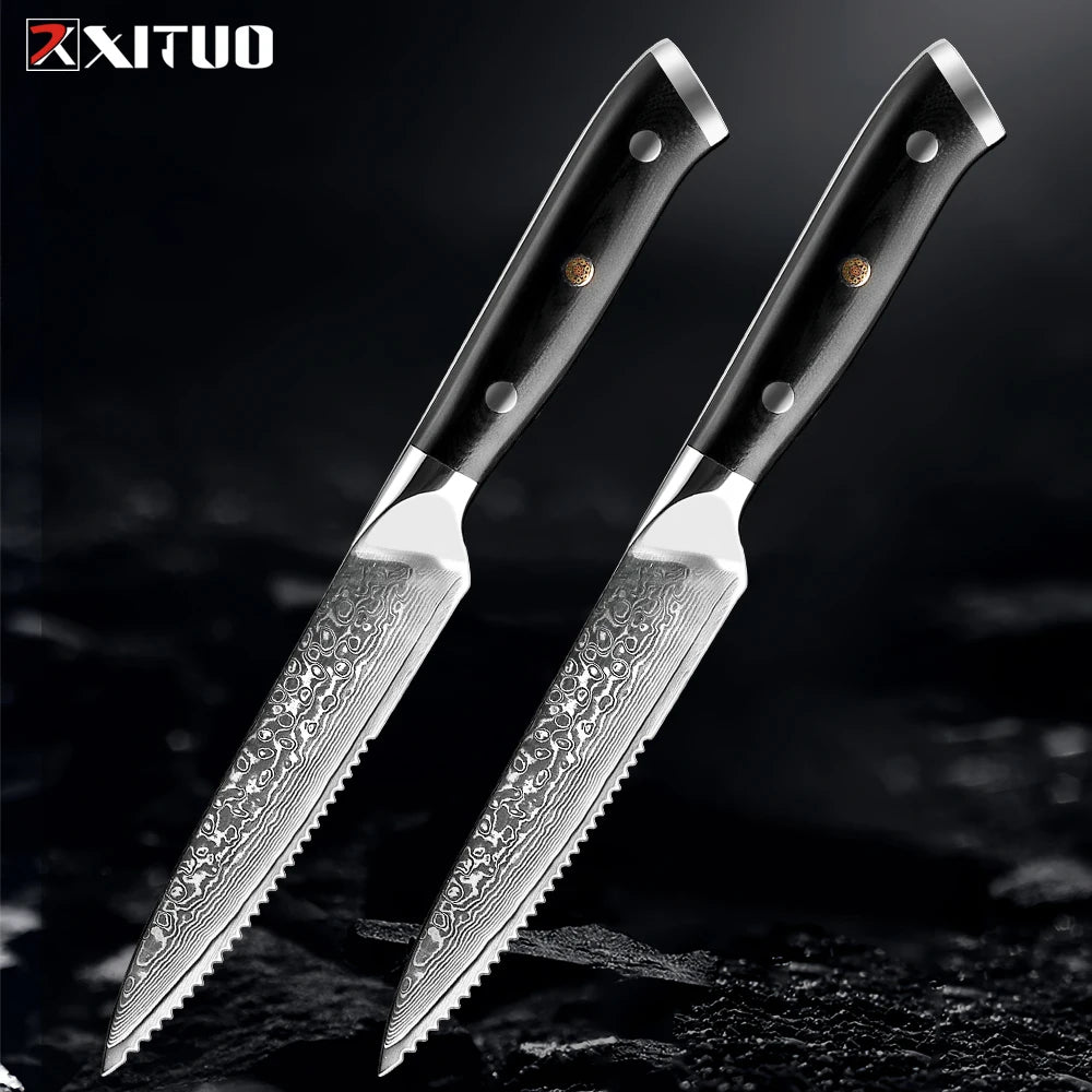 XITUO Damascus Steel Steak Knife Set With G10 Handle